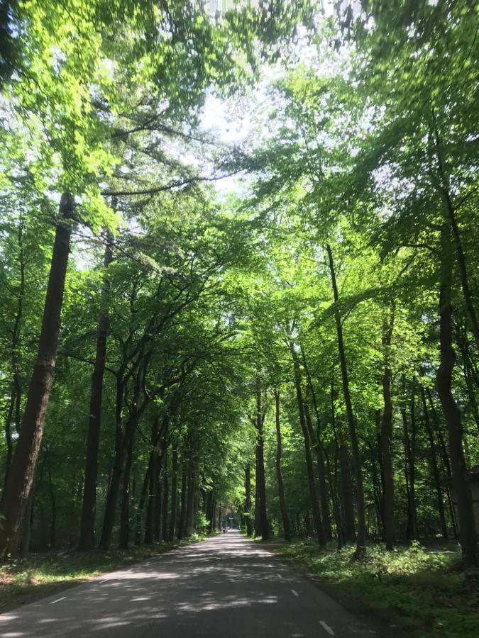 Uniek Chalet Op De Veluwe, In Bosrijke Omgeving. プッテン エクステリア 写真